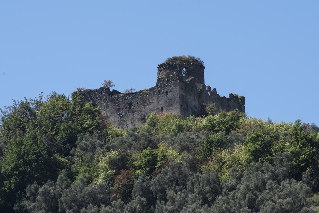 Agriturismo La Vecchia Quercia San Cipriano Picentino Экстерьер фото